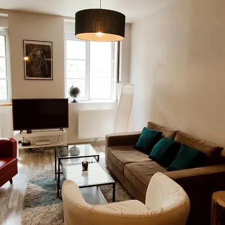 Appartement T2 Cocon Coeur De Wifi Angers